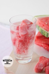 Watermelon-Ice-Taste-and-Tell-1-480x720