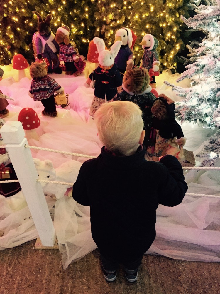 Christmas in Keydell Nursery,Horndean « Passion4luxus